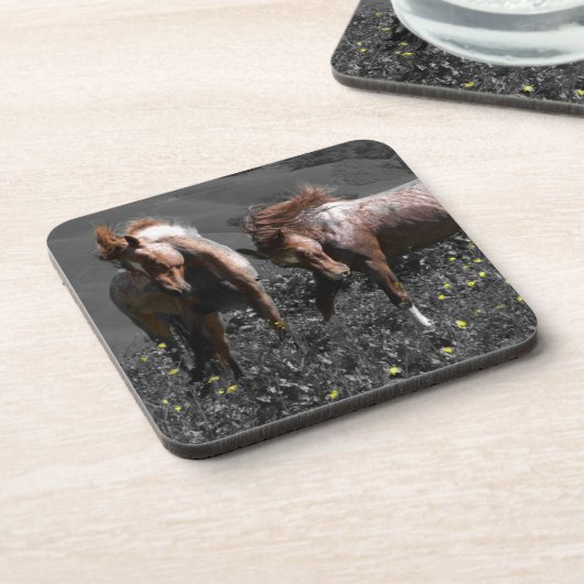 Stallions-Spar Untersetzer (Linke Seite)