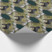 Stallions-Spreize Geschenkpapier (Ecke)