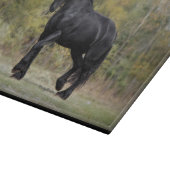 Stallions-Spreize Schneidebrett (Ecke)