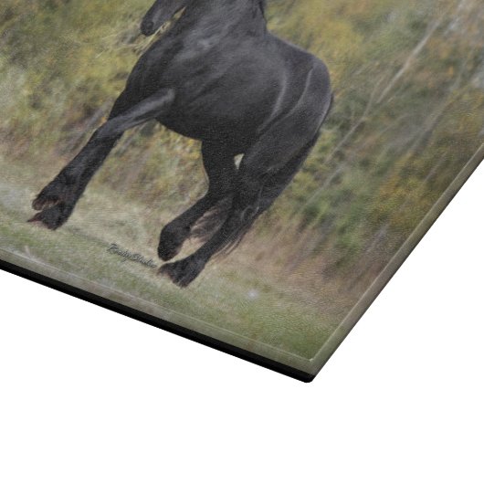 Stallions-Spreize Schneidebrett (Ecke)