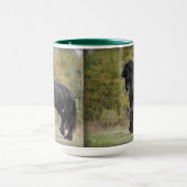 Stallions-Spreize Tasse (Zentrum)