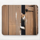 Stallkatze pinkelt um Tür Mousepad (Vorne)