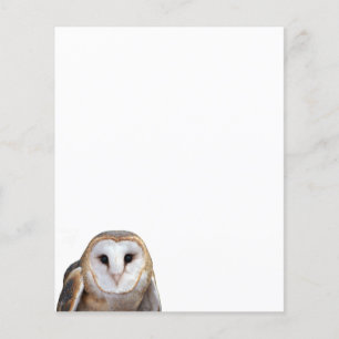 Stallpapier für Foto