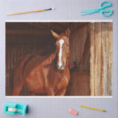 Stallpapier Seidenpapier (Basteln)