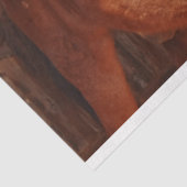 Stallpapier Seidenpapier (Ausschnitt)