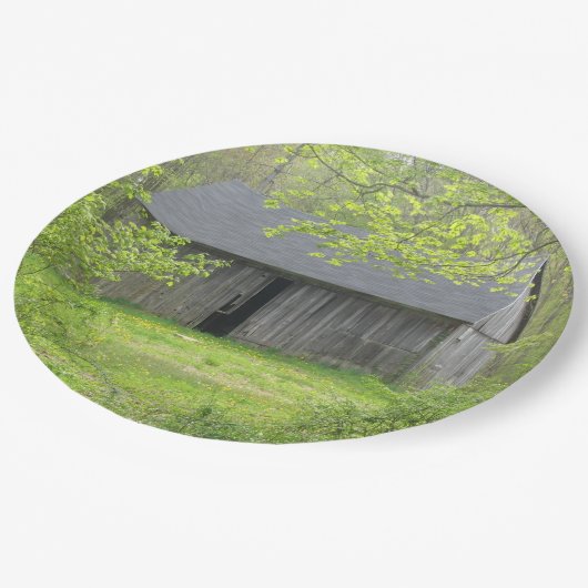 Stallpapierplatte Pappteller (Schrägansicht)