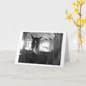 Stallpferd Karte (Gelbe Blume)