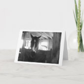 Stallpferd Karte (Vorderseite)