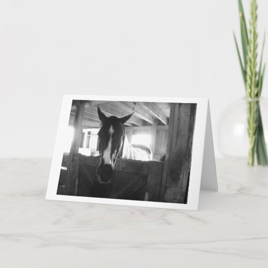 Stallpferd Karte (Vorderseite)