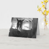 Stallpferd Karte (Gelbe Blume)