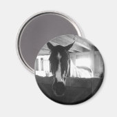 Stallpferd Magnet (Vorderseite/Rückseite)