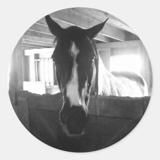 Stallpferd Runder Aufkleber (Vorderseite)