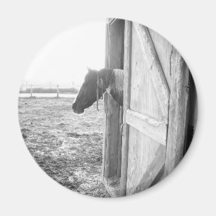 Stallpferd Schwarz-Weiß-Fotografie Magnet