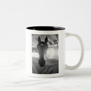 Stallpferd/Schwarz-Weiß-Fotografie Zweifarbige Tasse