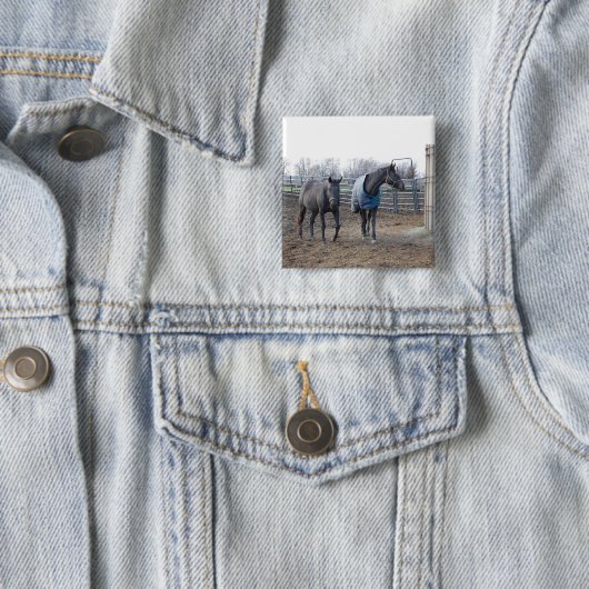 Stallpferde Button (Beispiel)