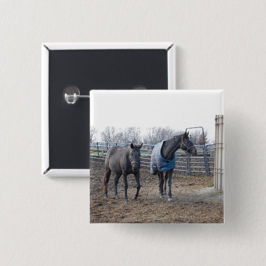 Stallpferde Button (Vorne & Hinten)