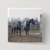 Stallpferde Button (Vorderseite)