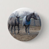 Stallpferde Button (Vorderseite)