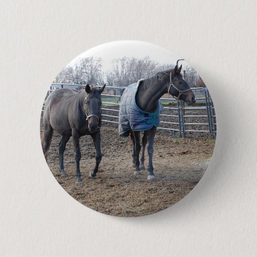 Stallpferde Button (Vorderseite)