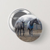 Stallpferde Button (Vorne & Hinten)
