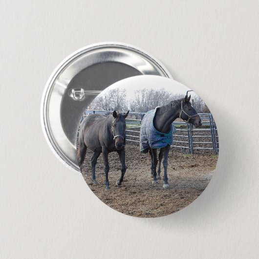 Stallpferde Button (Vorne & Hinten)