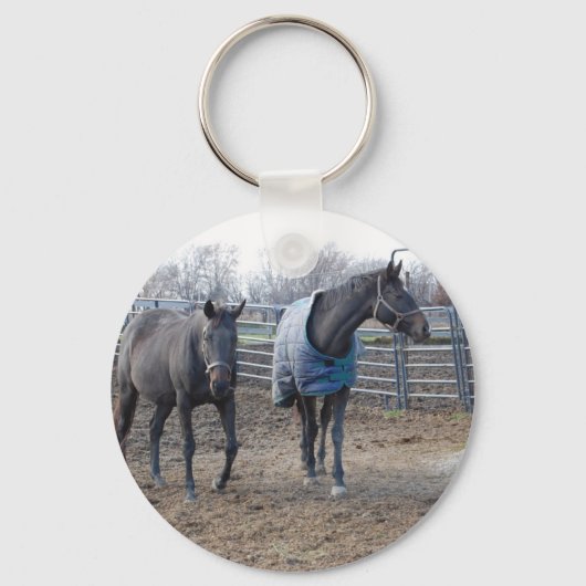 Stallpferde Schlüsselanhänger (Vorderseite)