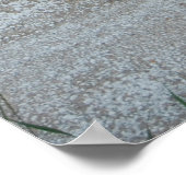 Stallreflexion Poster (Ecke)