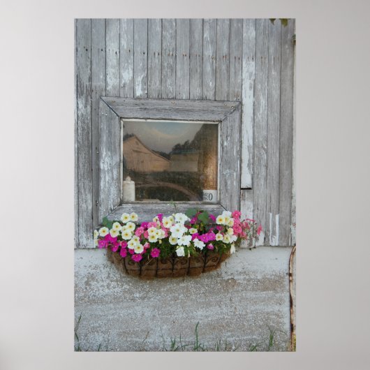 Stallreflexion Poster (Vorne)