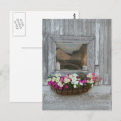 Stallreflexion Postkarte (Vorne/Hinten)