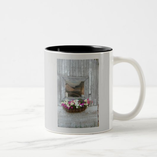 Stallreflexion Zweifarbige Tasse (Rechts)