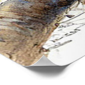 Stallschlucken Nistest auf einer Blossom-bedeckten Poster (Ecke)