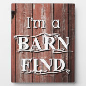 Stallsuche Fotoplatte (Vorderseite)