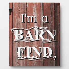 Stallsuche Fotoplatte