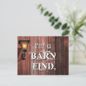 Stallsuche Postkarte (Stehend Vorderseite)