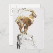 Stambecco d'Oro 2005 Postkarte (Vorne/Hinten)