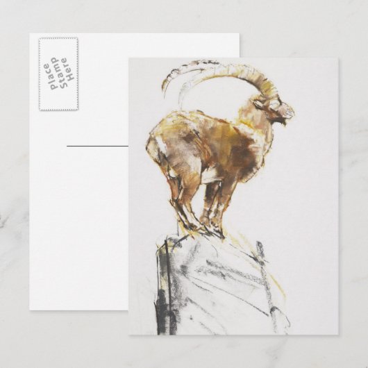 Stambecco d'Oro 2005 Postkarte (Vorne/Hinten)