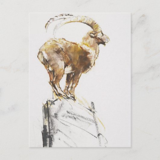 Stambecco d'Oro 2005 Postkarte (Vorderseite)