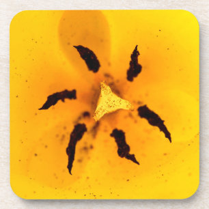 Stamen und Pollen Getränkeuntersetzer