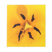 Stamen und Pollen Notizblock (Vorderseite)