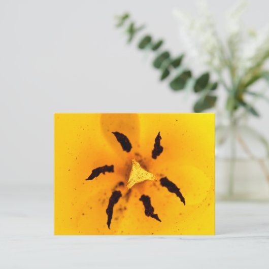 Stamen und Pollen Postkarte (Stehend Vorderseite)