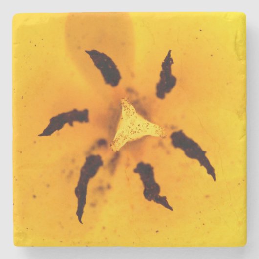 Stamen und Pollen Steinuntersetzer (Vorderseite)