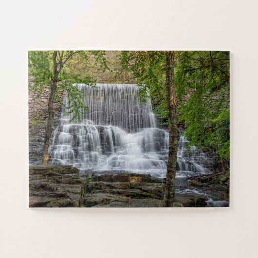 Stametz Dam 11x14 einfach Puzzle (Horizontal)
