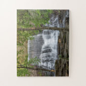 Stametz Dam 11x14 einfach Puzzle (Vertikal)