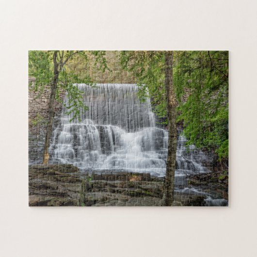 Stametz Dam 11x14 hard Puzzle (Horizontal)