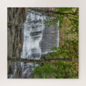 Stametz Dam 16x20 Puzzle (Horizontal)
