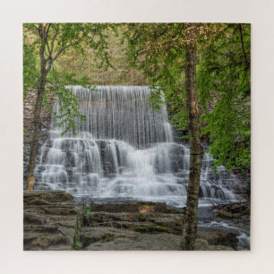 Stametz Dam 16x20 Puzzle