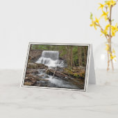 Stametz Dam Karte (Gelbe Blume)