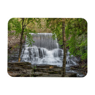 Stametz Dam Magnet