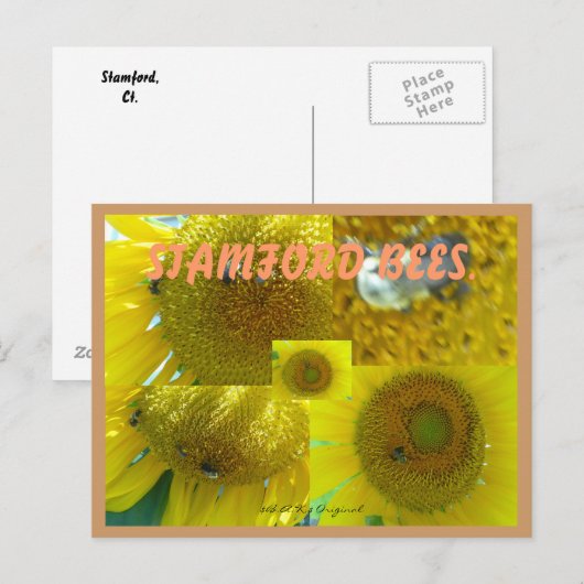 STAMFORD CT BIES POSTKARTE (Vorne/Hinten)