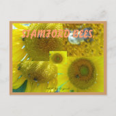 STAMFORD CT BIES POSTKARTE (Vorderseite)